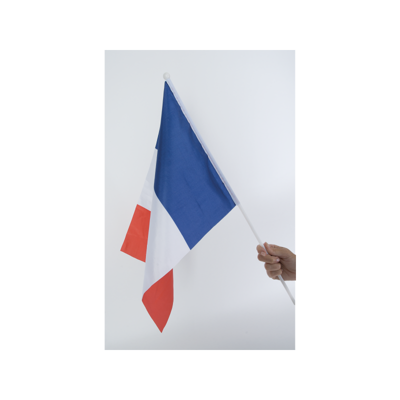 Drapeau français personnalisable avec votre logo 