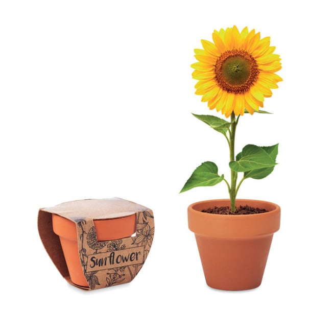 Kit plantation publicitaire Tournesol 